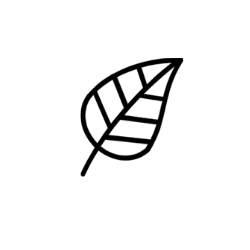 leaf transparent