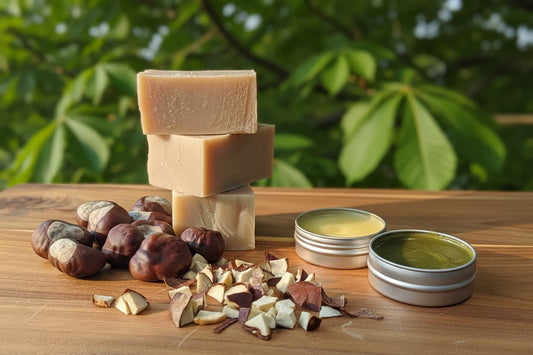 Horse chestnut soap bars, salve tins and whole chestnuts arranged on wood with a horse chestnut tree in the background. Natural handmade skincare by MadeFromNature, Canada.