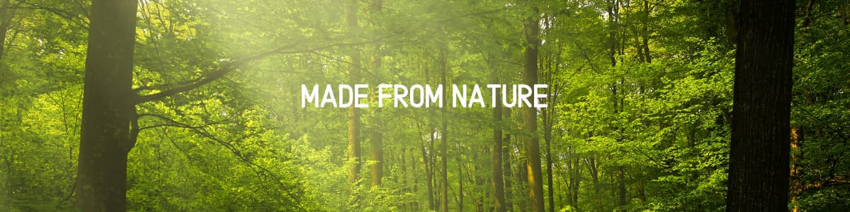 Sunlit forest scene — Made From Nature handcrafted plant-based skincare