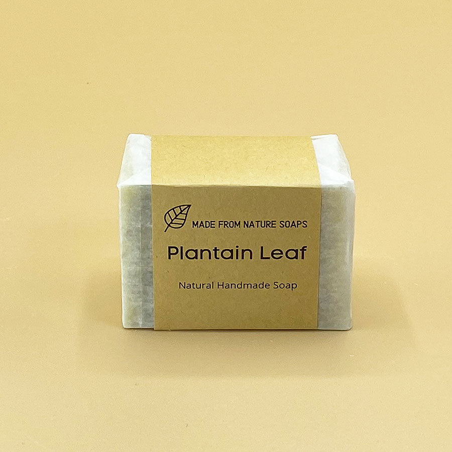 Plantain Leaf Soap