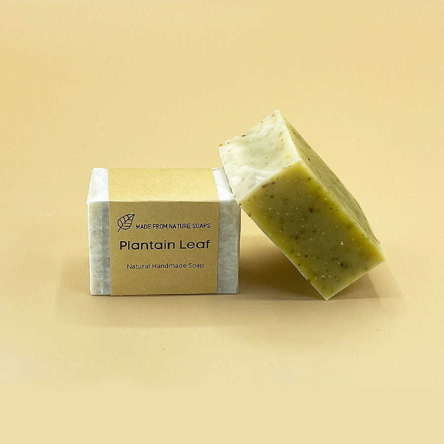 Plantain Leaf Soap